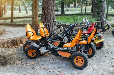 Şehir parkında, bahçesinde ya da ormanında kiralayacak ya da paylaşacak iki kişi için birçok modern pedallı oyuncak araba. Spor aktiviteleri dışında sağlıklı bir aile. Eğlenceli çocuklar bisiklet taşımacılığı.