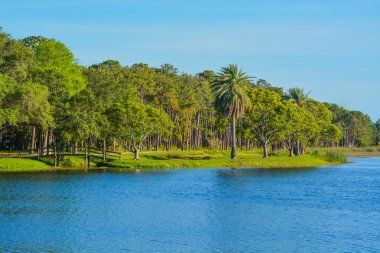 John S. Taylor Park Largo, Florida adaya ahşap köprü görünümünü ve bir yürüyüş için güzel bir gün.