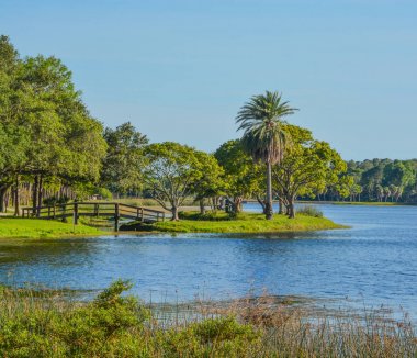 A beautiful day for a walk and the view of the wood bridge to the island at John S. Taylor Park in Largo, Florida. clipart