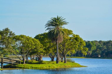 John S. Taylor Park Largo, Florida adaya ahşap köprü görünümünü ve bir yürüyüş için güzel bir gün.