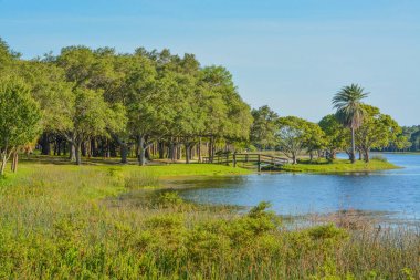 John S. Taylor Park Largo, Florida adaya ahşap köprü görünümünü ve bir yürüyüş için güzel bir gün.
