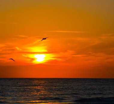 Indian Rocks Beach Meksika Körfezi, Florida üzerinde günbatımında