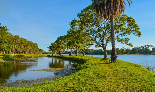 Ein schöner tag für einen spaziergang und die aussicht auf die insel im john s taylor park in largo, florida. — Stockfoto