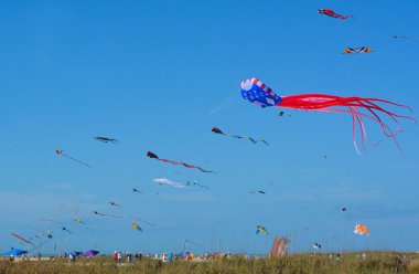 Hazine Adası, Florida ABD'de plaj üzerinde uçan uçurtma