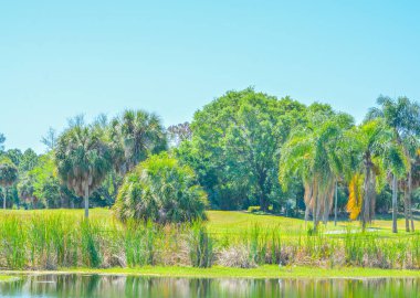St Petersburg, Florida ABD'de güzel bir manzara