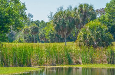 St Petersburg, Florida ABD'de güzel bir manzara