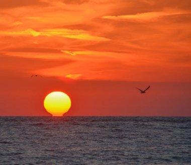 Meksika Körfezi, Florida üzerinde çarpıcı günbatımı