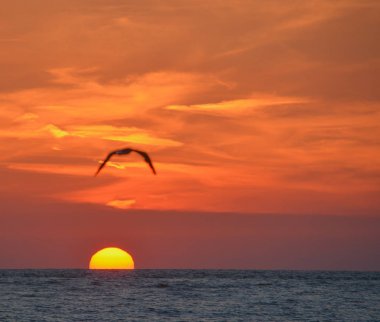 Meksika Körfezi, Florida üzerinde çarpıcı günbatımı