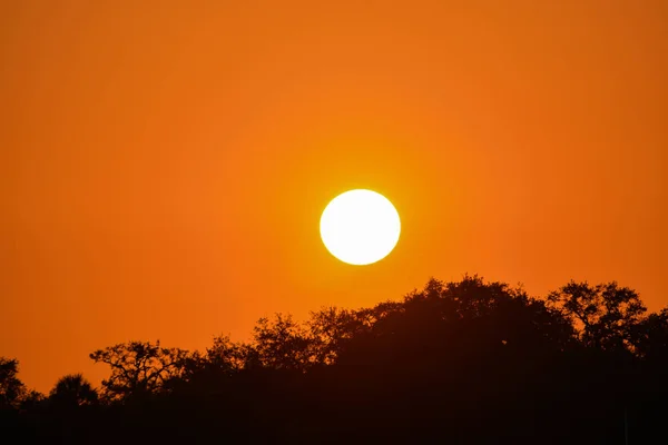 Sonnenuntergang über kleinen bayou an der bucht von tampa, heiliger petersburg, florida — Stockfoto