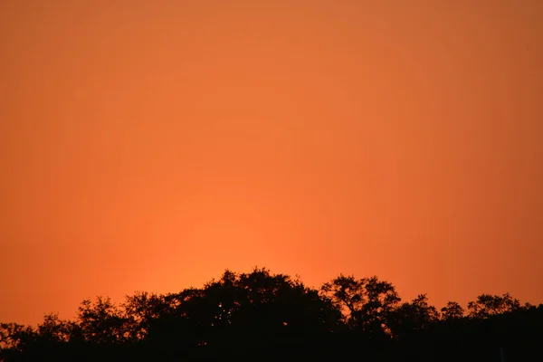 Sonnenuntergang über kleinen bayou an der bucht von tampa, heiliger petersburg, florida — Stockfoto