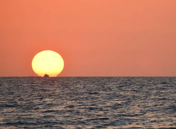 Η σιλουέτα της μια βάρκα περνά στον ορίζοντα μπροστά από τον ήλιο. Ηλιοβασίλεμα πάνω από τον κόλπο του Μεξικού στην ινδική Rocks Beach, Φλόριντα. — Φωτογραφία Αρχείου