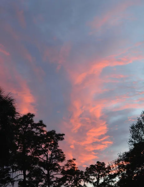 Hermosas nubes al atardecer en Hillsborough River State Park, Thonotosassa, Florida, EE.UU. — Foto de Stock