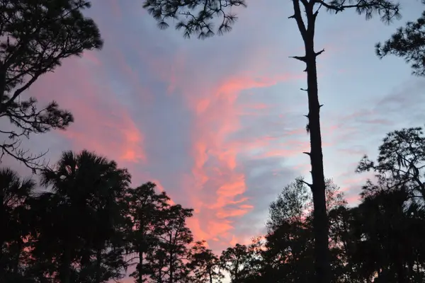 Hermosas nubes al atardecer en Hillsborough River State Park, Thonotosassa, Florida — Foto de Stock