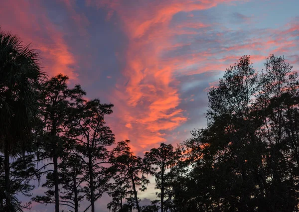Hermosas nubes al atardecer en Hillsborough River State Park, Thonotosassa, Florida, EE.UU. — Foto de Stock