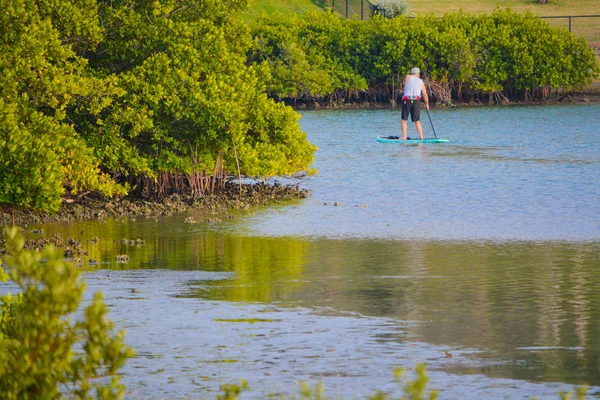 Paddle Boarding em uma enseada de manguezais em Belleair Causeway, Flórida . — Fotografia de Stock