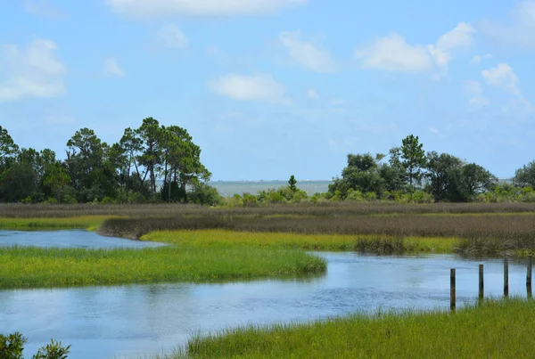 De ström flyter genom ängen till St. George ljudet nära Carrabelle, Florida Usa — Stockfoto