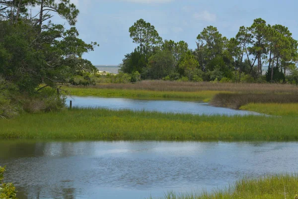 Der bach fließt durch die wiese zum st. george sound bei carrabelle, florida usa — Stockfoto