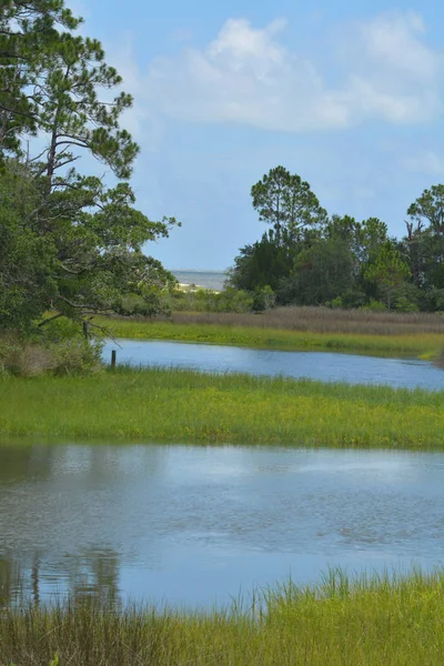 Le ruisseau coule à travers la prairie vers le détroit de St. George près de Carrabelle, Floride États-Unis — Photo