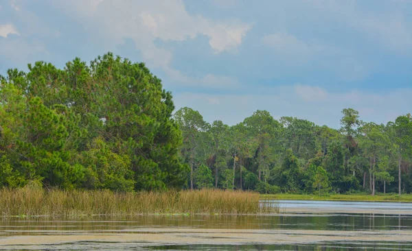 The view of Walsingham Lake at Walsingham Park — Stock Photo, Image