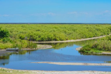 Okeechobee Gölü bataklığında terk edilmiş bir tekne, Okeechobee County, Florida Usa