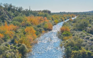 Agua Fria Nehri, Peoria 'nın güneybatı çölünde, Maricopa County, Arizona Usa