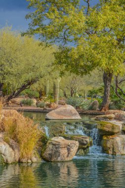 Maricopa County, Arizona Usa 'daki Sonoran Çölü' ndeki Anthem 'e su düştü. 