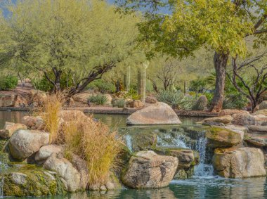 Maricopa County, Arizona Usa 'daki Sonoran Çölü' ndeki Anthem 'e su düştü. 