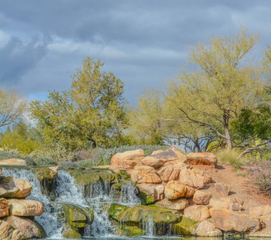 Maricopa County, Arizona Usa 'daki Sonoran Çölü' ndeki Anthem 'e su düştü. 