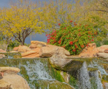 Maricopa County, Arizona Usa 'daki Sonoran Çölü' ndeki Anthem 'e su düştü. 