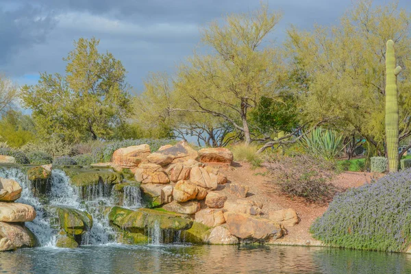 Caída Agua Himno Desierto Sonora Condado Maricopa Arizona — Foto de Stock