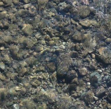 Agua Fria Nehri 'nin soyut manzarası Peoria, Maricopa County, Arizona Usa' da akıyor.