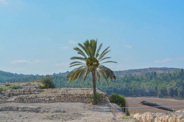 Restos Arqueológicos Parque Nacional Tel Megiddo Patrimonio Humanidad Valle Jezabel — Foto de Stock