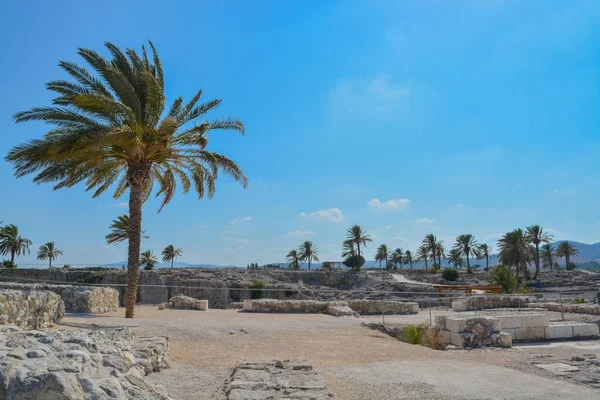 Resti Archeologici Nel Parco Nazionale Tel Megiddo Patrimonio Dell Umanità — Foto Stock