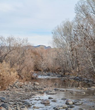 Batı Clear Deresi Verde Kampı, Yavapai County, Arizona Usa