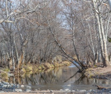 Batı Clear Deresi Verde Kampı, Yavapai County, Arizona Usa