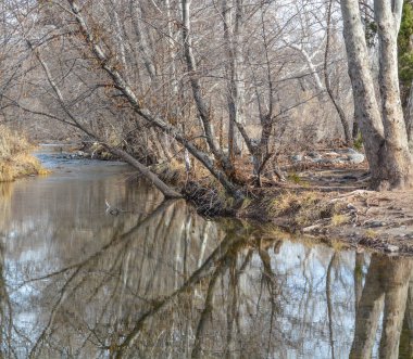 Batı Clear Deresi Verde Kampı, Yavapai County, Arizona Usa