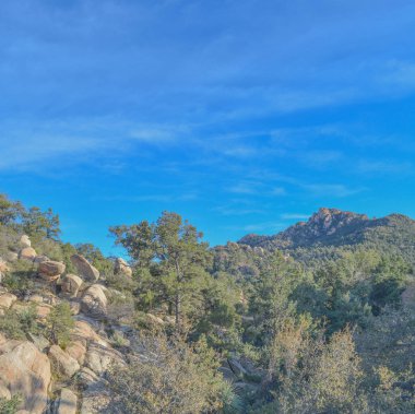 The wilderness of Tonto National Forest, Gila County, Arizona, USA