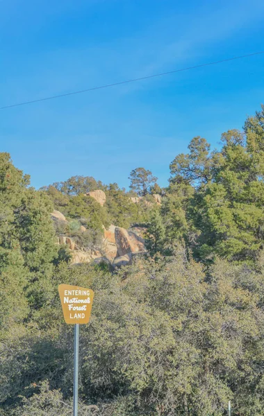 Entrando Tierra Forestal Nacional Firme Bosque Nacional Tonto Condado Gila — Foto de Stock