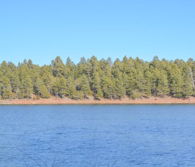Peaceful view of Fool Hollow Lake in Show Low, Navajo County, Apache Sitgreaves National Forest, Arizona USA