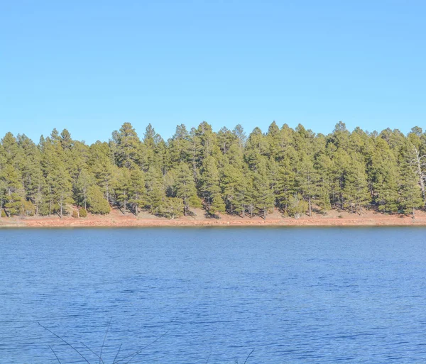 Peaceful View Fool Hollow Lake Show Low Navajo County Apache — Foto de Stock