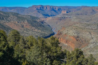 Gila County, Tonto Ulusal Ormanı, Arizona Usa 'daki Salt River Kanyonunun Manzarası