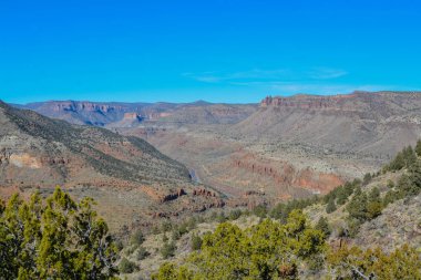 Gila County, Tonto Ulusal Ormanı, Arizona Usa 'daki Salt River Kanyonunun Manzarası