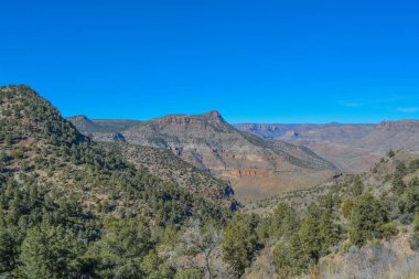 Gila County, Tonto Ulusal Ormanı, Arizona Usa 'daki Salt River Kanyonunun Manzarası