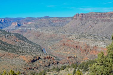 Gila County, Tonto Ulusal Ormanı, Arizona Usa 'daki Salt River Kanyonunun Manzarası