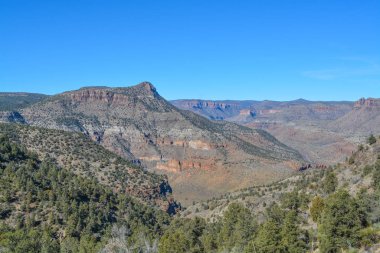 Gila County, Tonto Ulusal Ormanı, Arizona Usa 'daki Salt River Kanyonunun Manzarası
