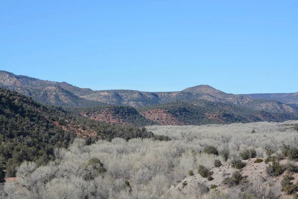 Beautiful Winter View Cottonwood Trees Valley Carrizo Salt River Canyon — ストック写真