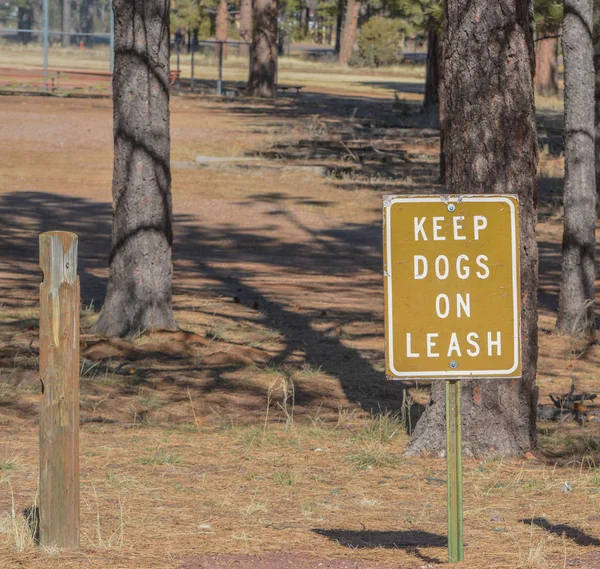 Keep Dogs Leash Sign Tall Timbers National Park Overgaard Navajo — Stock Photo, Image