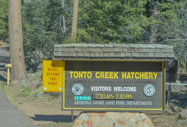 Tonto Creek鳟鱼孵化场标志 Arizona Usa Tonto国家森林Gila县Payson — 图库照片