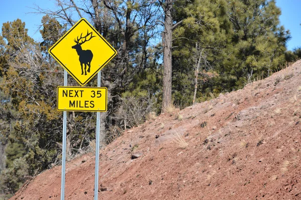 Segno Attraversamento Dell Alce Attenzione Alla Jaywalking Dell Alce Dall — Foto Stock