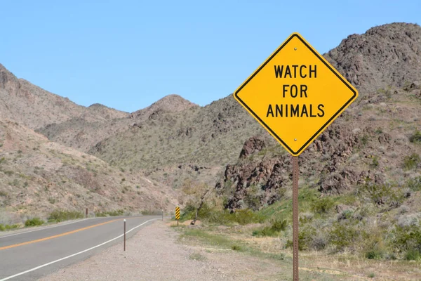 Firma Prohibida Palets Madera Quemada Área Recreación Nacional Lake Mead —  Fotos de Stock